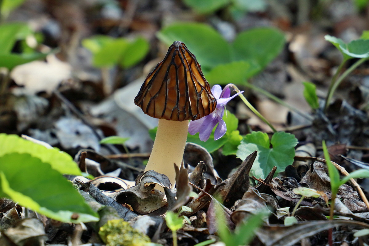 IMG_2630p_Bildgr��e �ndern