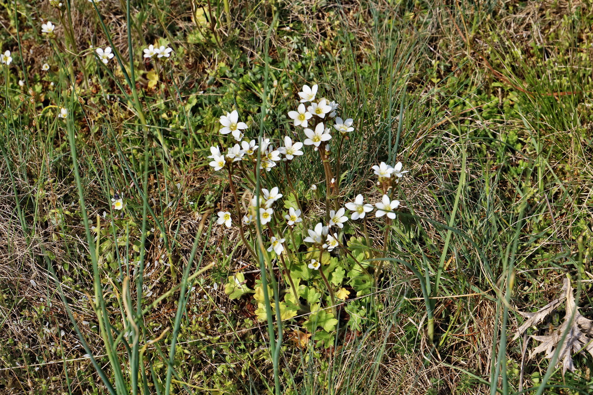 IMG_2639p_Bildgr��e �ndern