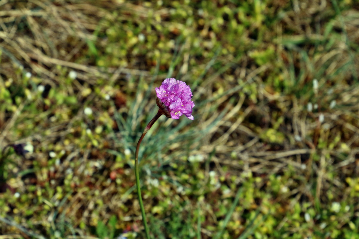 IMG_2642p_Bildgr��e �ndern