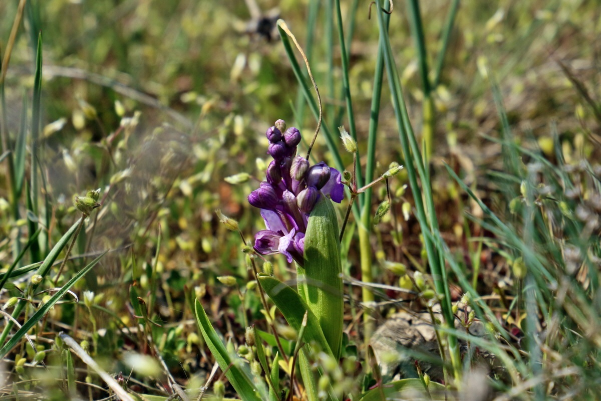 IMG_2646p_Bildgr��e �ndern