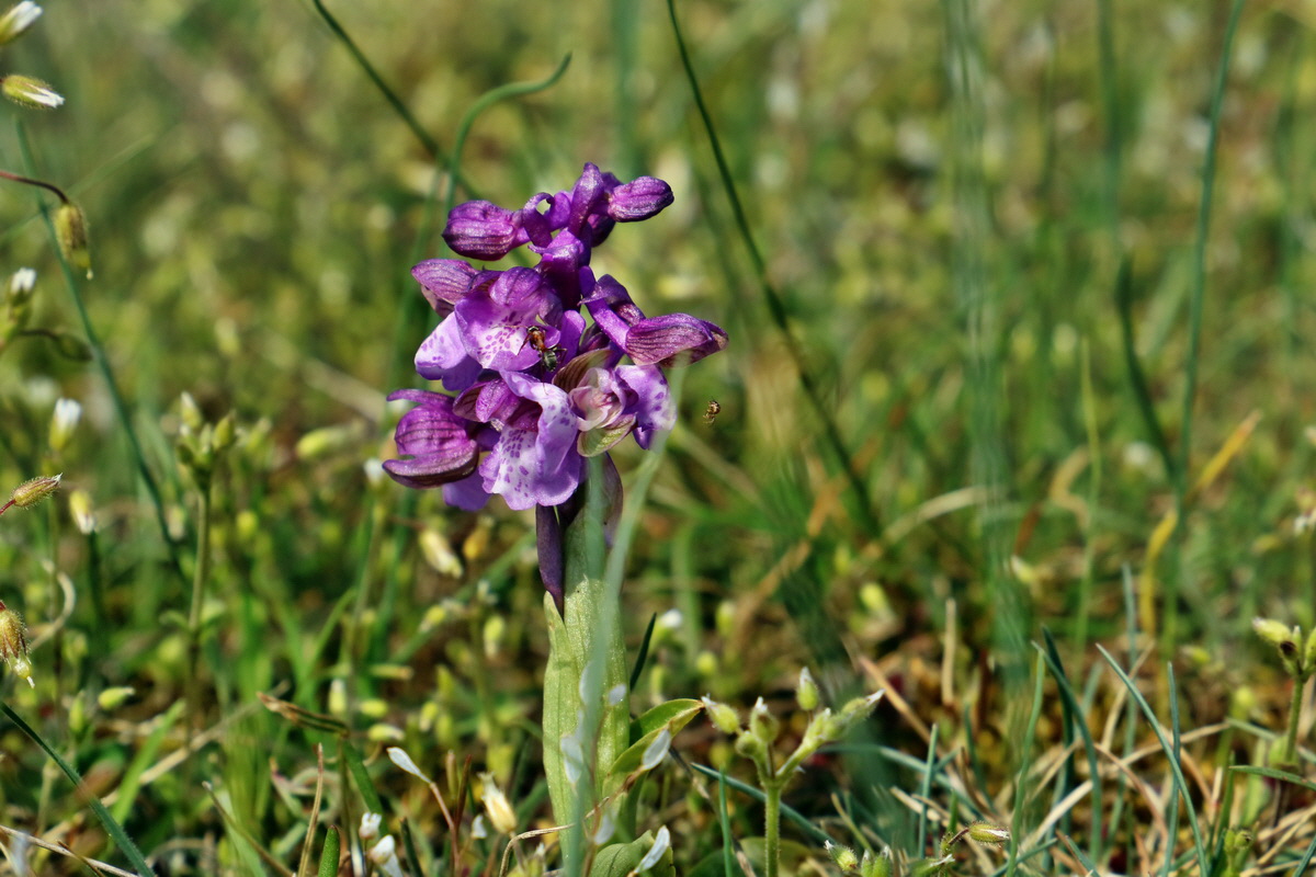 IMG_2650p_Bildgr��e �ndern