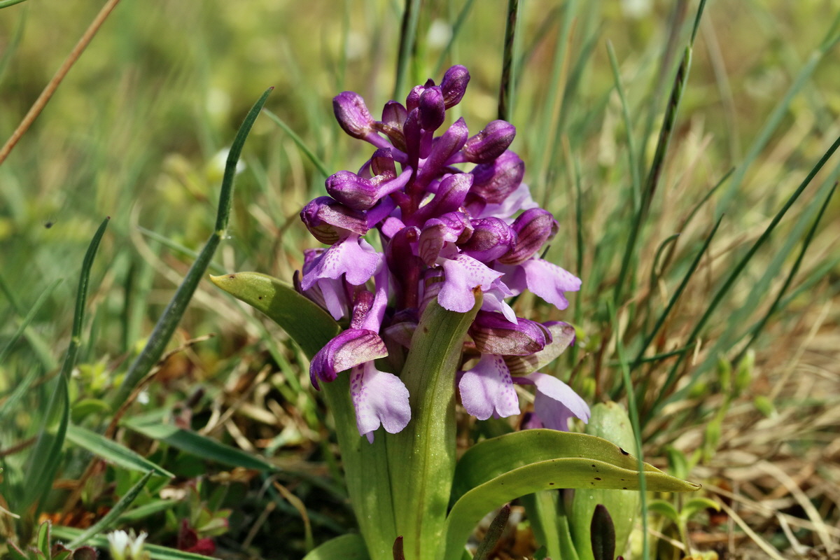 IMG_2654p_Bildgr��e �ndern