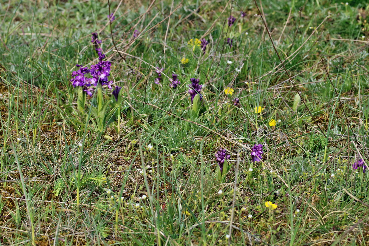 IMG_2656p_Bildgr��e �ndern