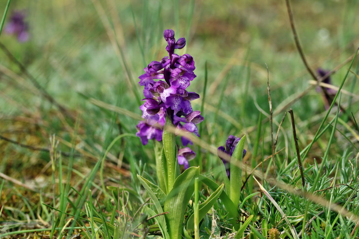 IMG_2660p_Bildgr��e �ndern