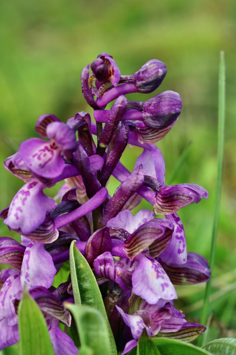 IMG_2662p_Bildgr��e �ndern