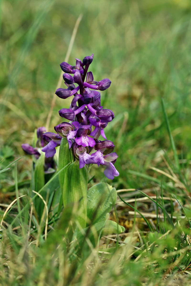 IMG_2665p_Bildgr��e �ndern