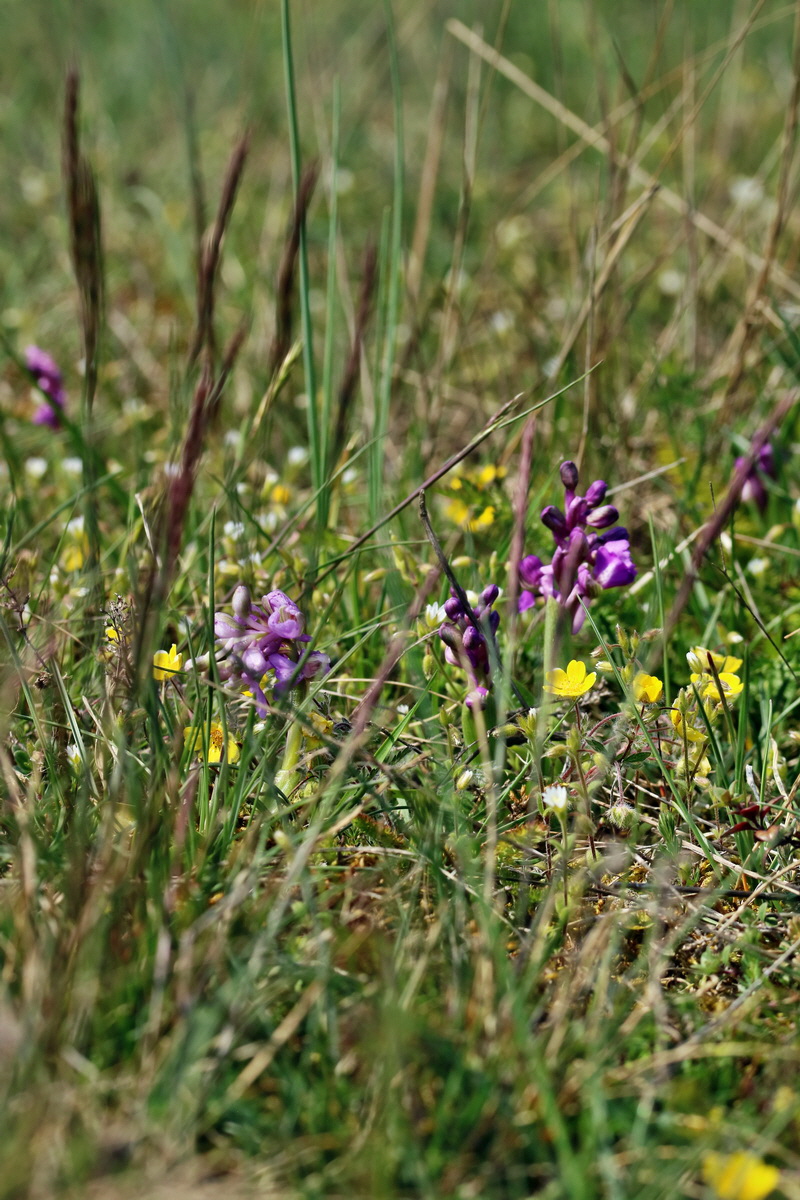 IMG_2666p_Bildgr��e �ndern