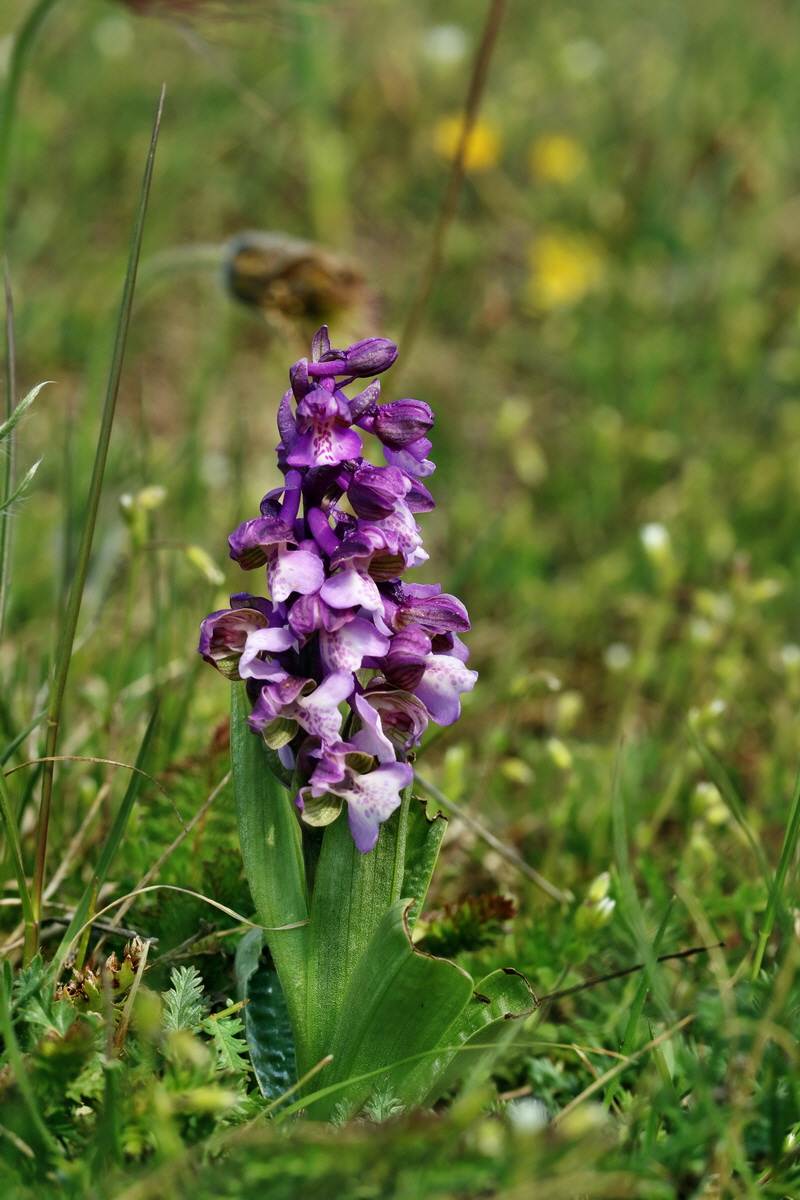 IMG_2668p_Bildgr��e �ndern