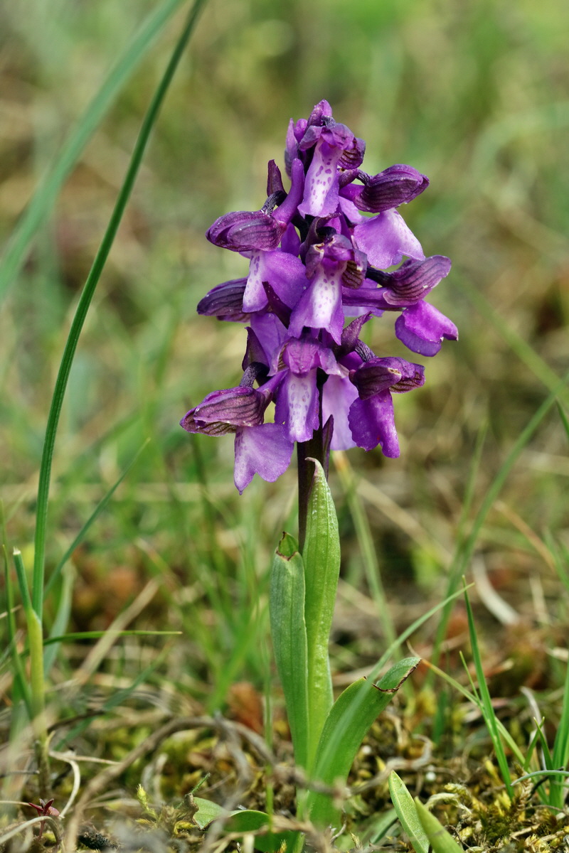 IMG_2670p_Bildgr��e �ndern