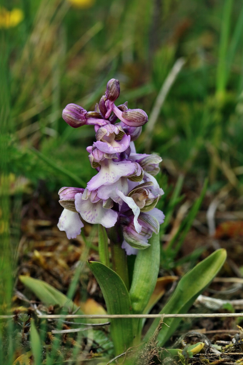 IMG_2672p_Bildgr��e �ndern