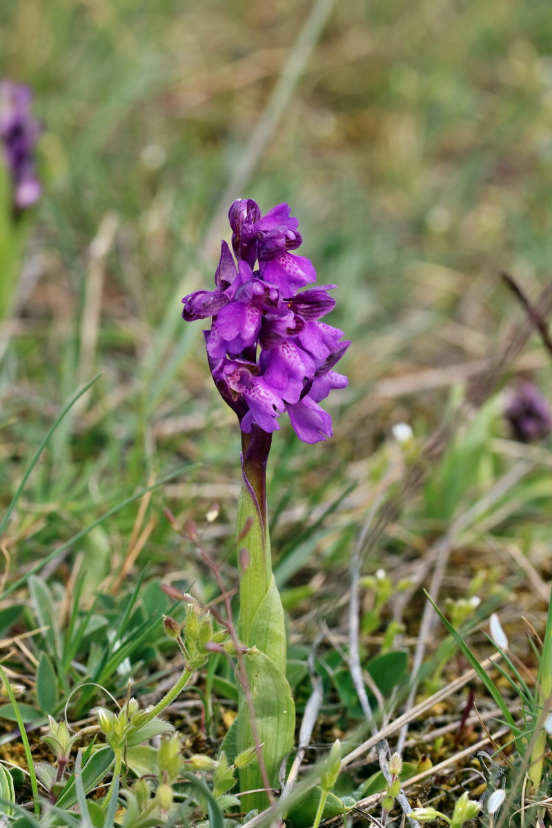 IMG_2676p_Bildgr��e �ndern