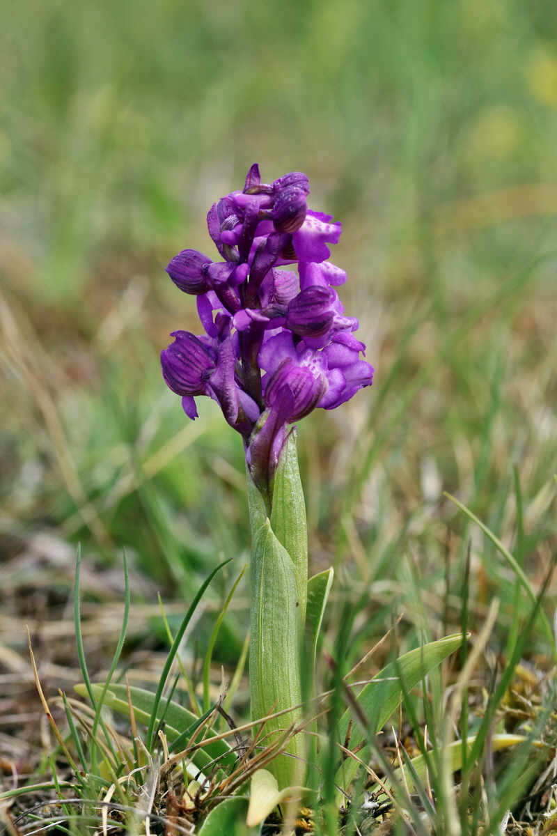 IMG_2677p_Bildgr��e �ndern