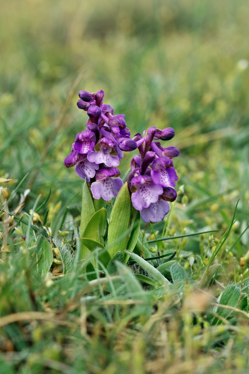 IMG_2679p_Bildgr��e �ndern