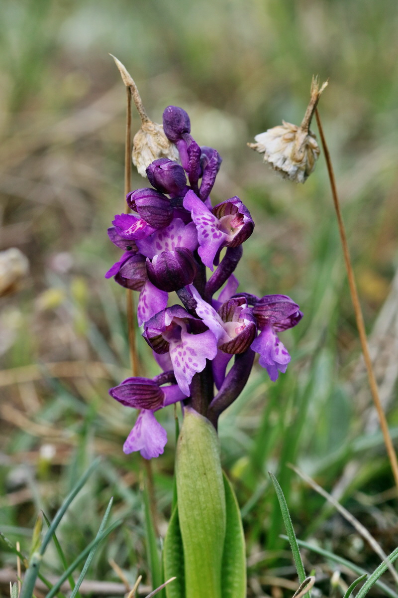 IMG_2683p_Bildgr��e �ndern