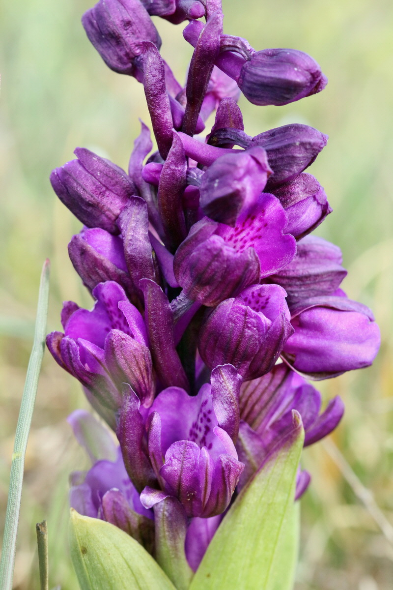 IMG_2686p_Bildgr��e �ndern