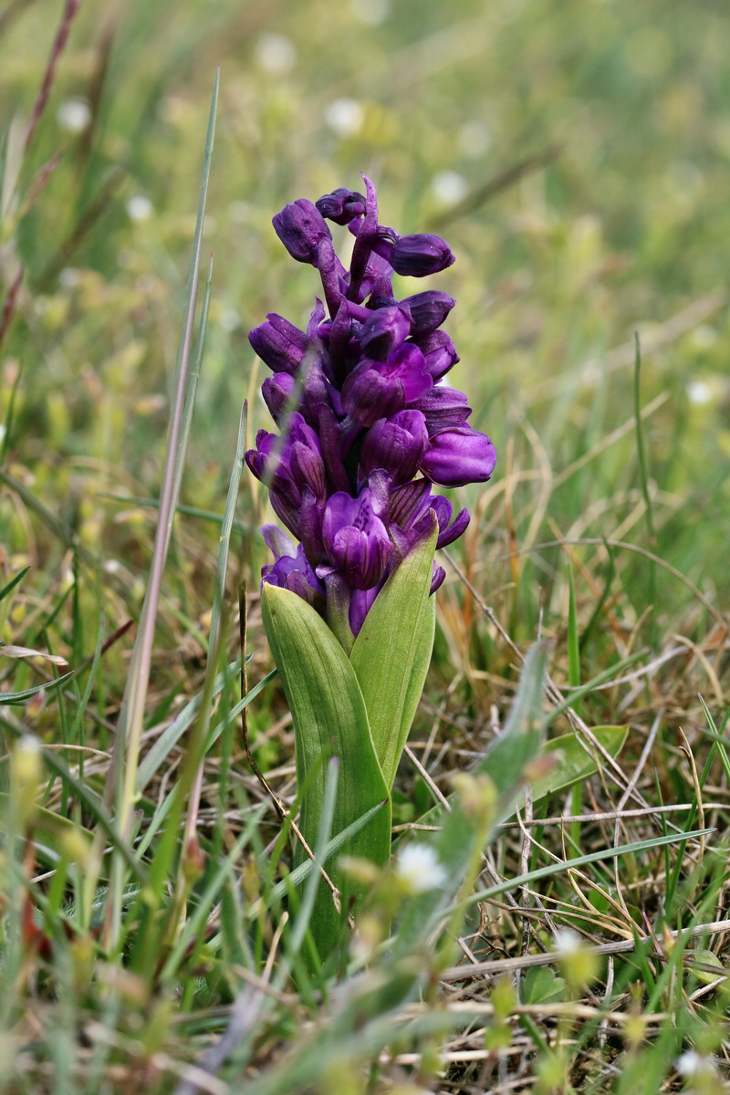 IMG_2688p_Bildgr��e �ndern