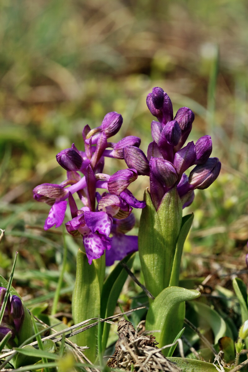 IMG_2689p_Bildgr��e �ndern