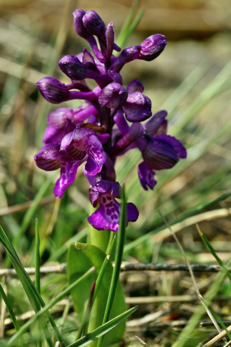 IMG_2694p_Bildgr��e �ndern