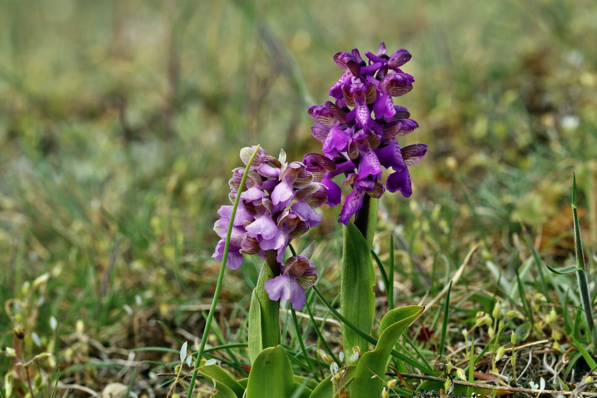 IMG_2702p_Bildgr��e �ndern