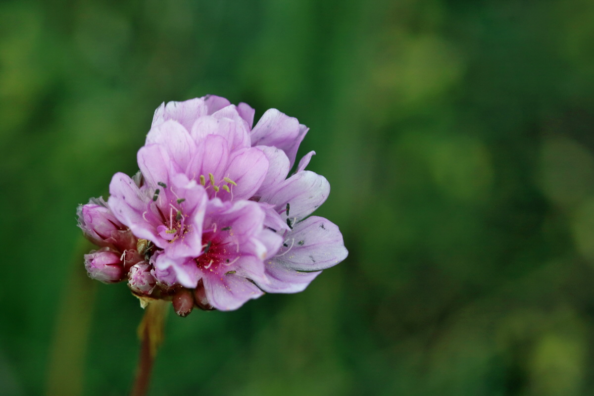 IMG_2708p_Bildgr��e �ndern