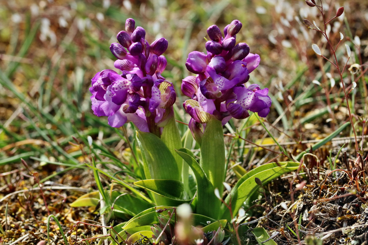 IMG_2714p_Bildgr��e �ndern