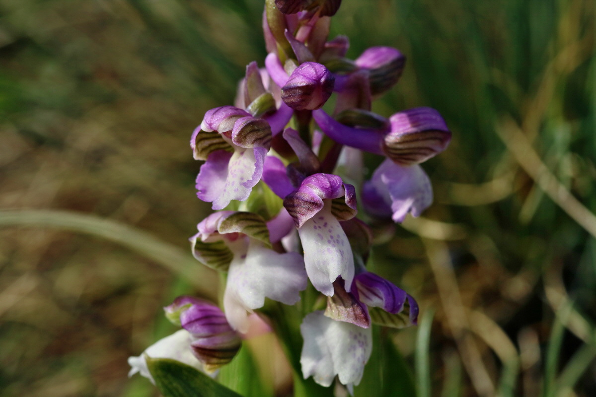 IMG_2716p_Bildgr��e �ndern