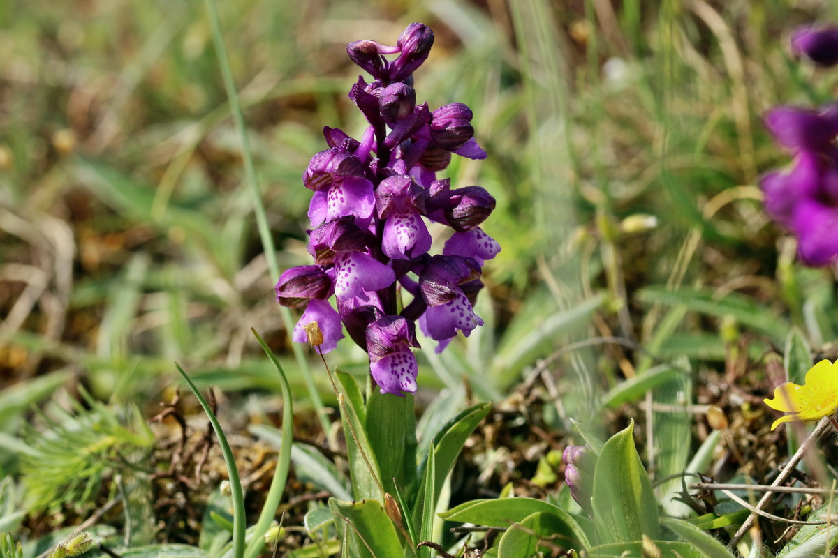 IMG_2720p_Bildgr��e �ndern