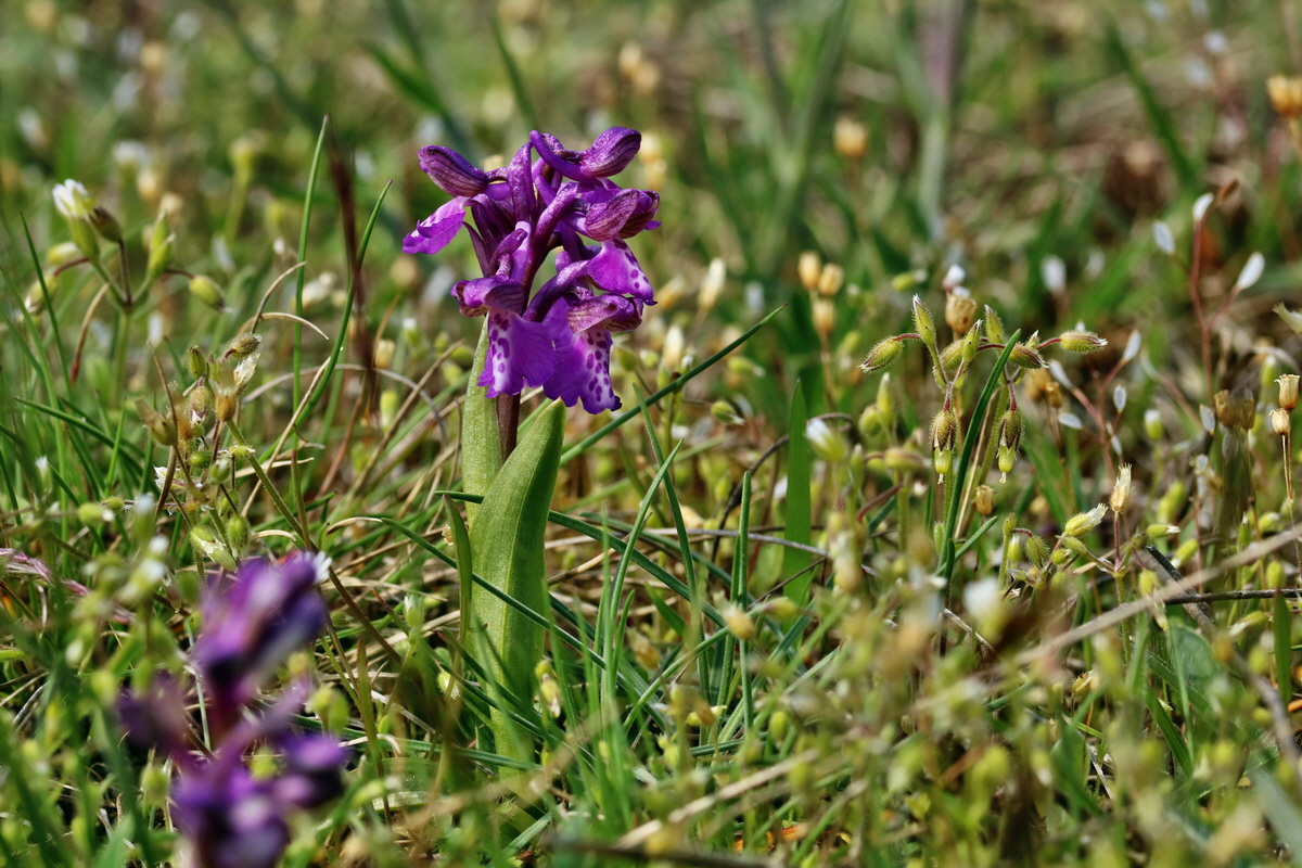 IMG_2729p_Bildgr��e �ndern