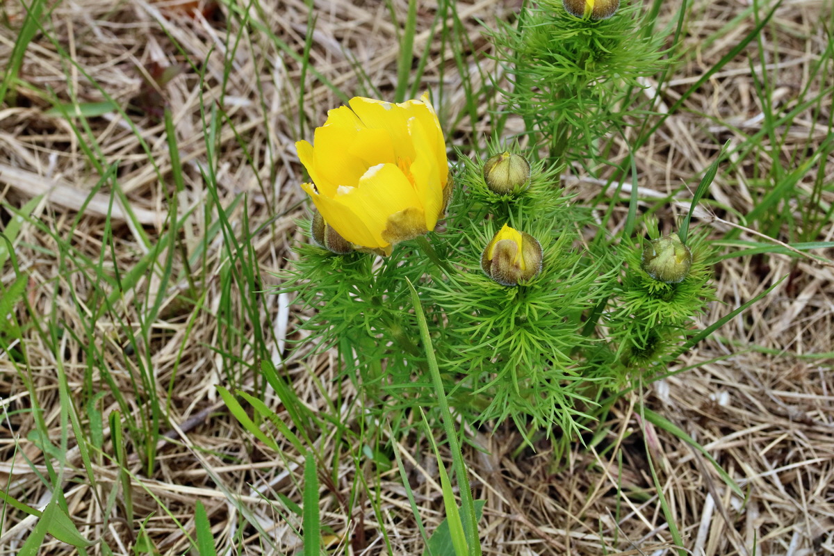 RNA_2017_04_22_0001p_Bildgr��e �ndern