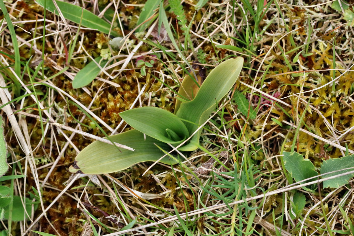 RNA_2017_04_22_0030p_Bildgr��e �ndern