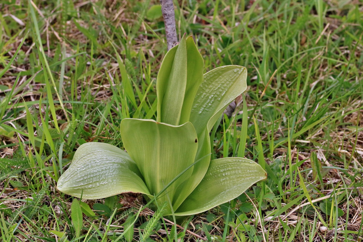 RNA_2017_04_22_0037p_Bildgr��e �ndern