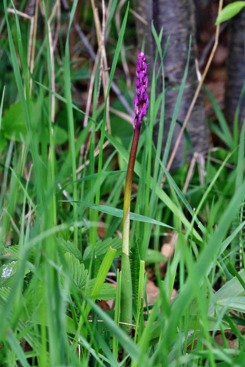 RNA_2017_04_22_0040p_Bildgr��e �ndern