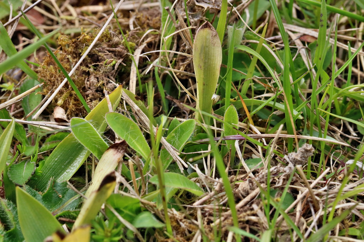 RNA_2017_04_22_0049p_Bildgr��e �ndern