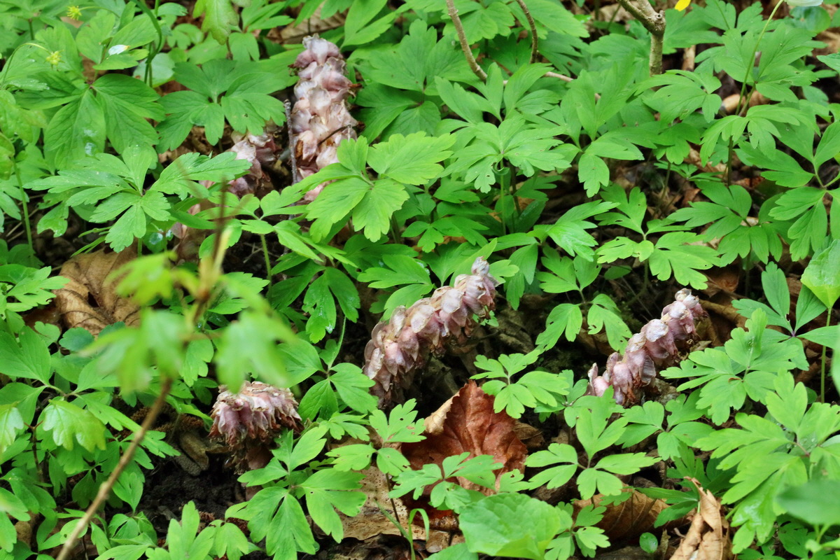 RNA_2017_04_22_0063p_Bildgr��e �ndern