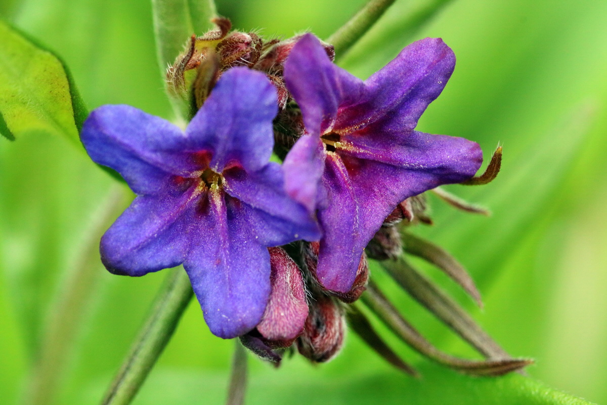 RNA_2017_04_22_0106p_Bildgr��e �ndern