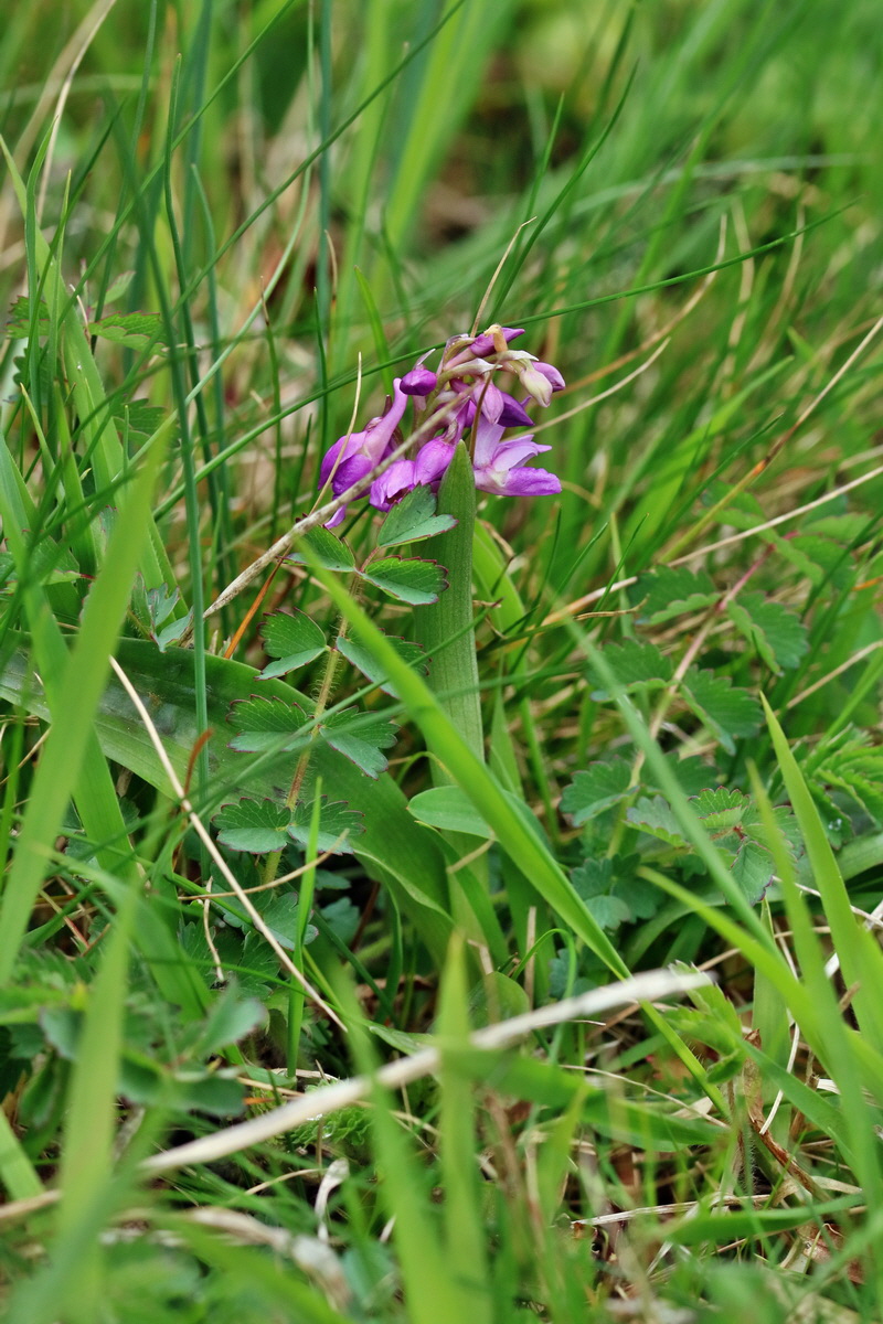 RNA_2017_04_22_0114p_Bildgr��e �ndern