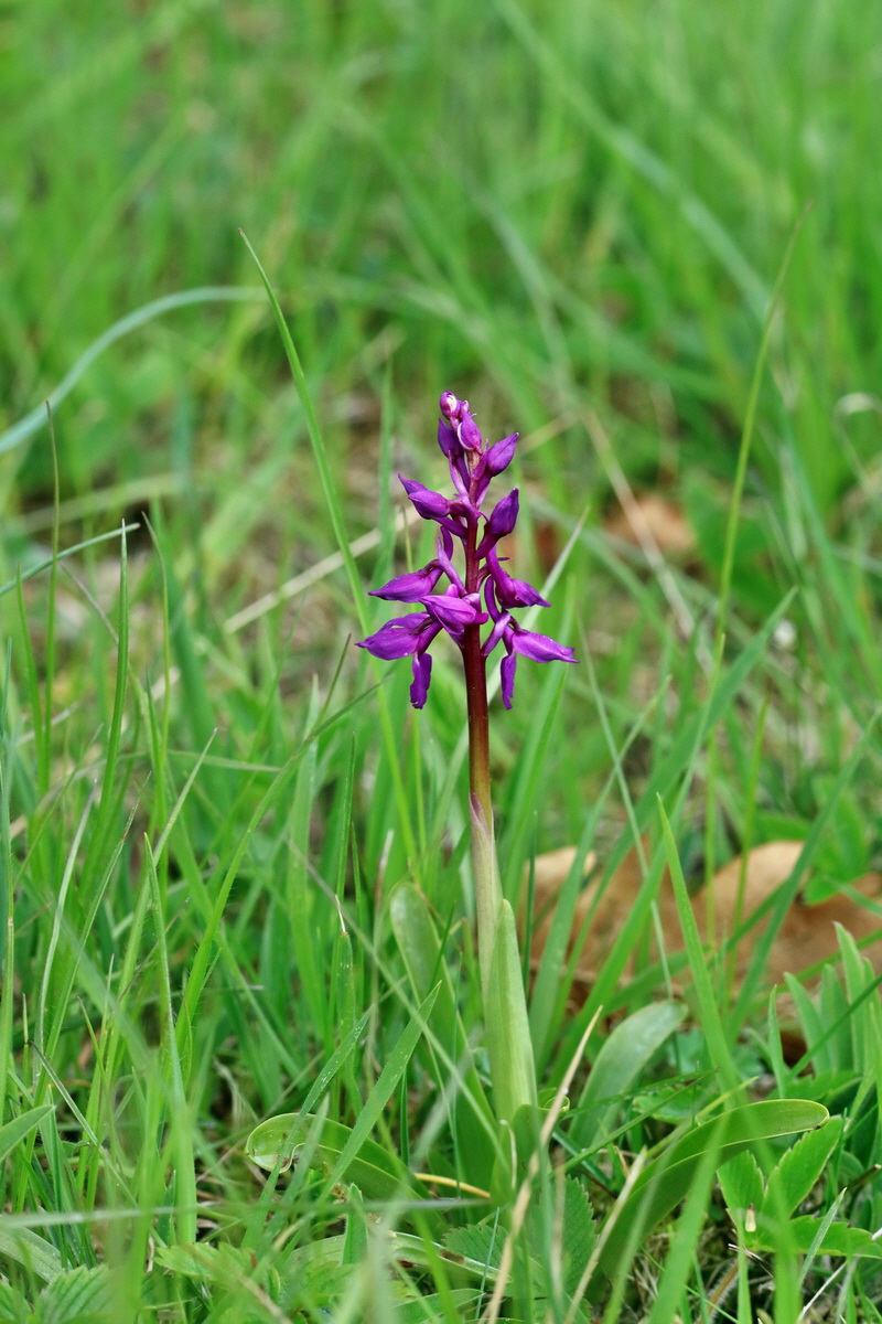 RNA_2017_04_22_0118p_Bildgr��e �ndern