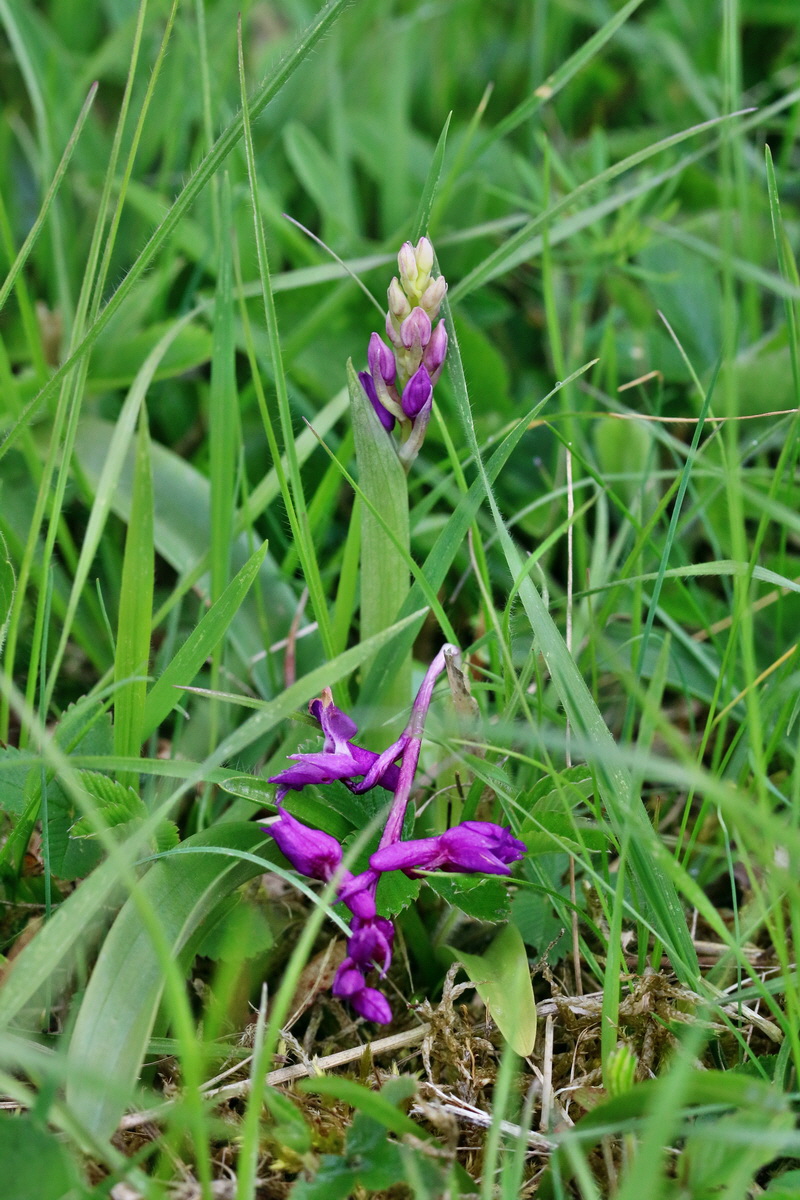 RNA_2017_04_22_0119p_Bildgr��e �ndern