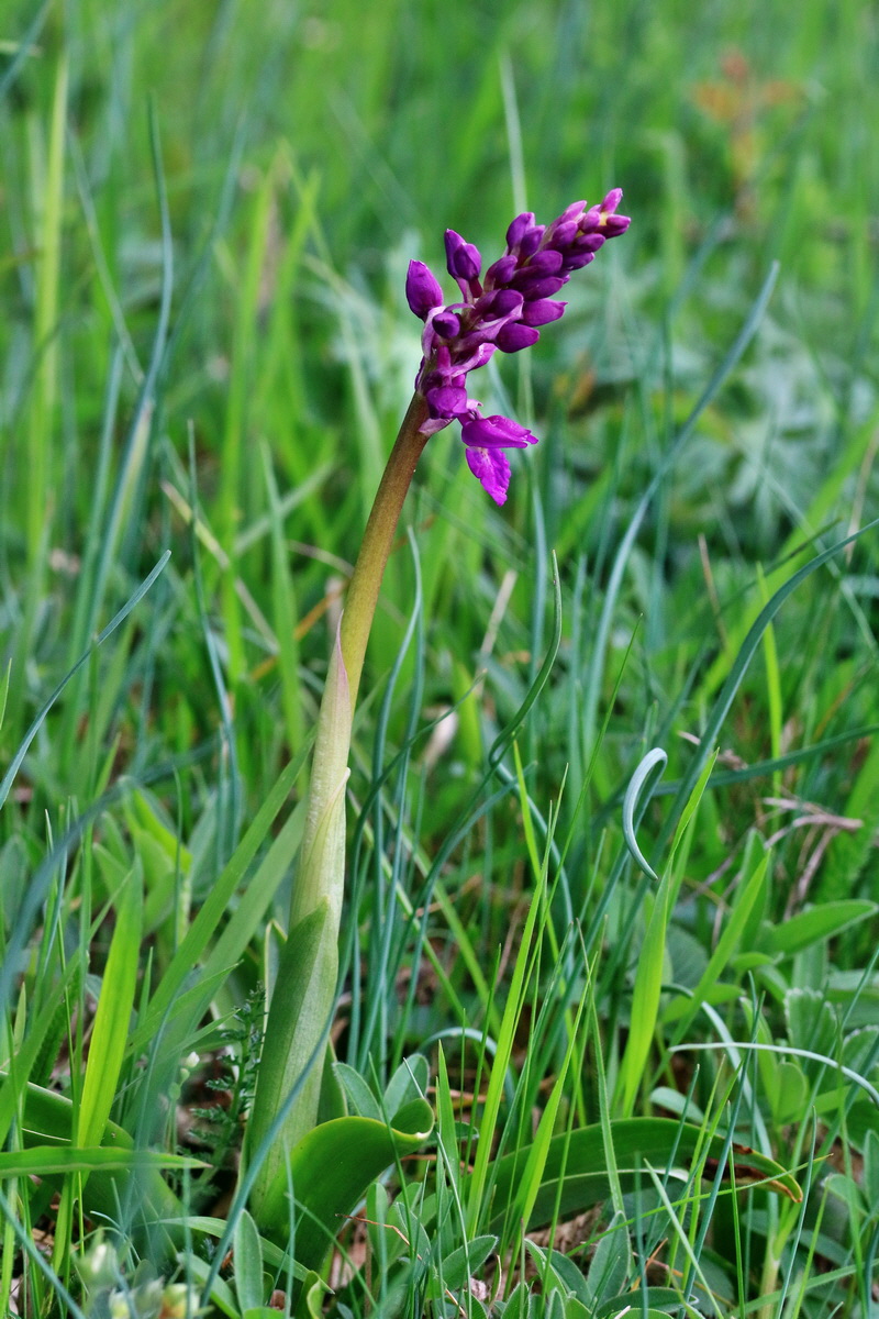 RNA_2017_04_22_0123p_Bildgr��e �ndern