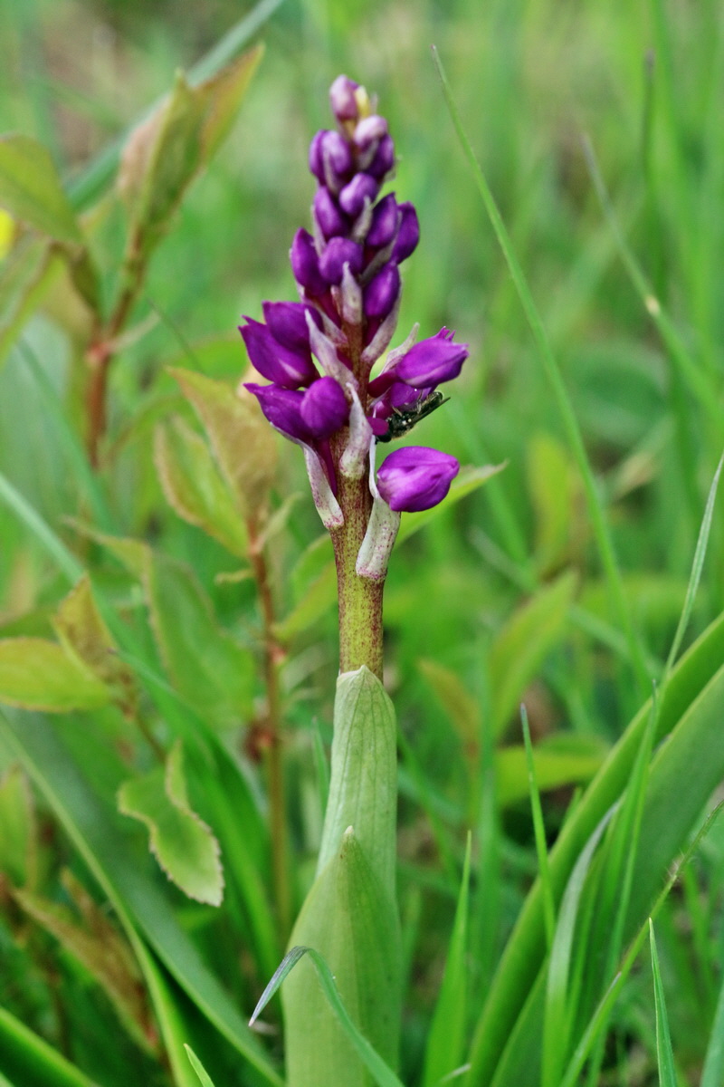 RNA_2017_04_22_0130p_Bildgr��e �ndern