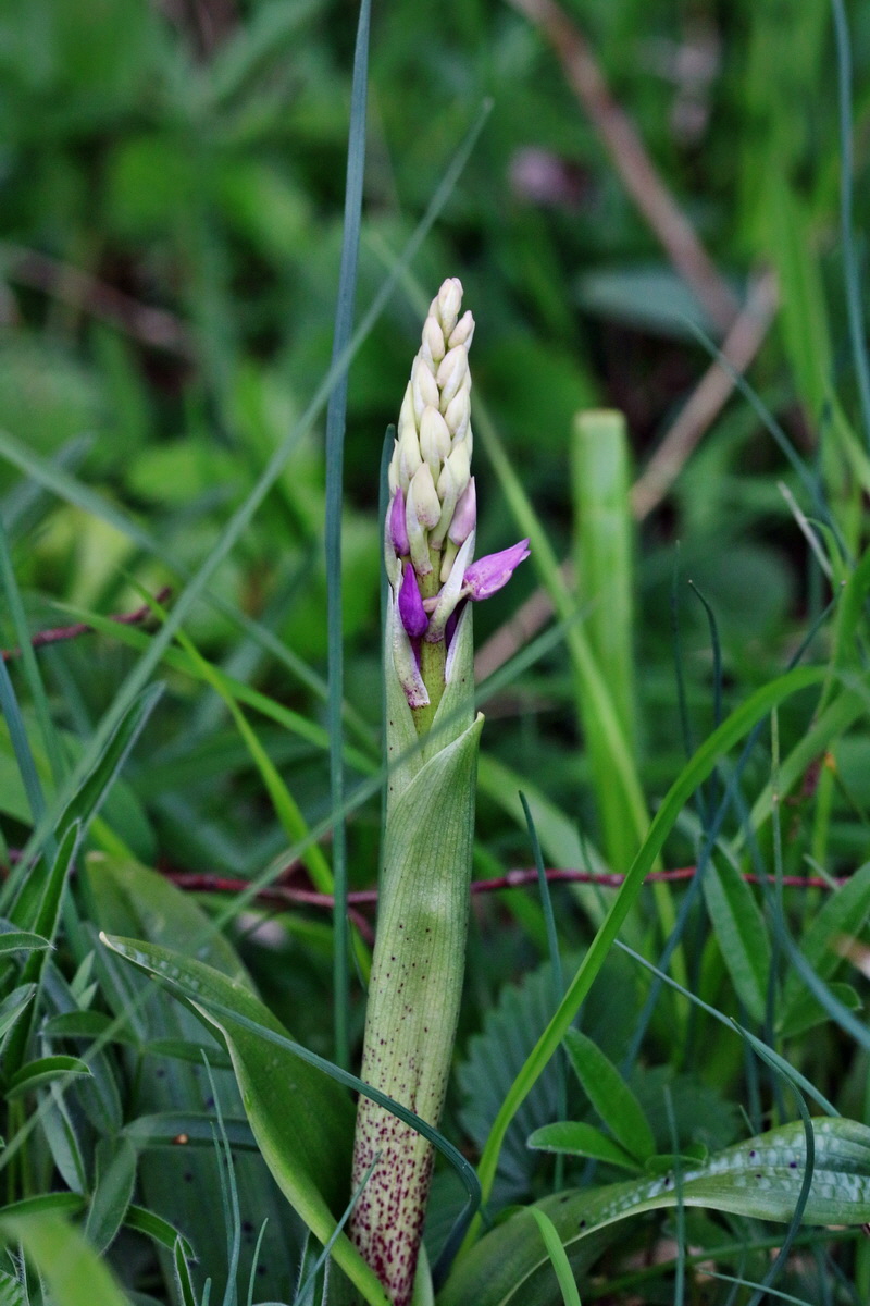 RNA_2017_04_22_0133p_Bildgr��e �ndern