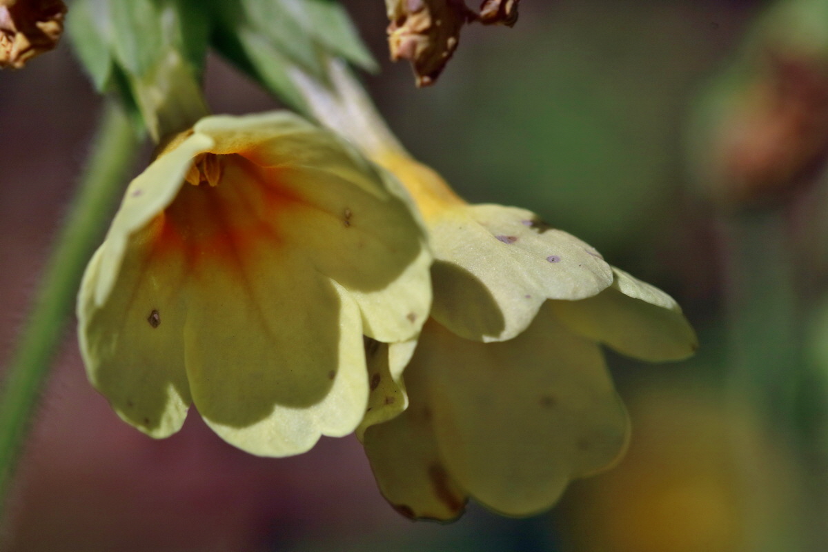 RNA_2017_04_24_0149p_Bildgr��e �ndern