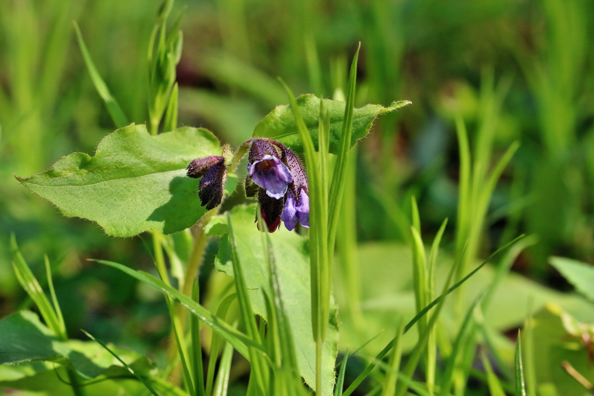 RNA_2017_04_24_0175p_Bildgr��e �ndern