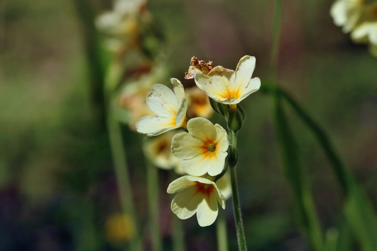 RNA_2017_04_24_0185p_Bildgr��e �ndern