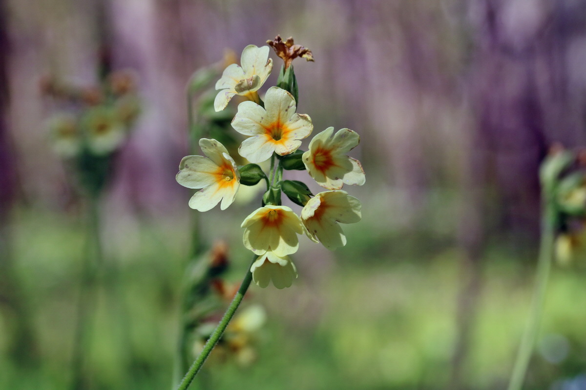 RNA_2017_04_24_0189p_Bildgr��e �ndern