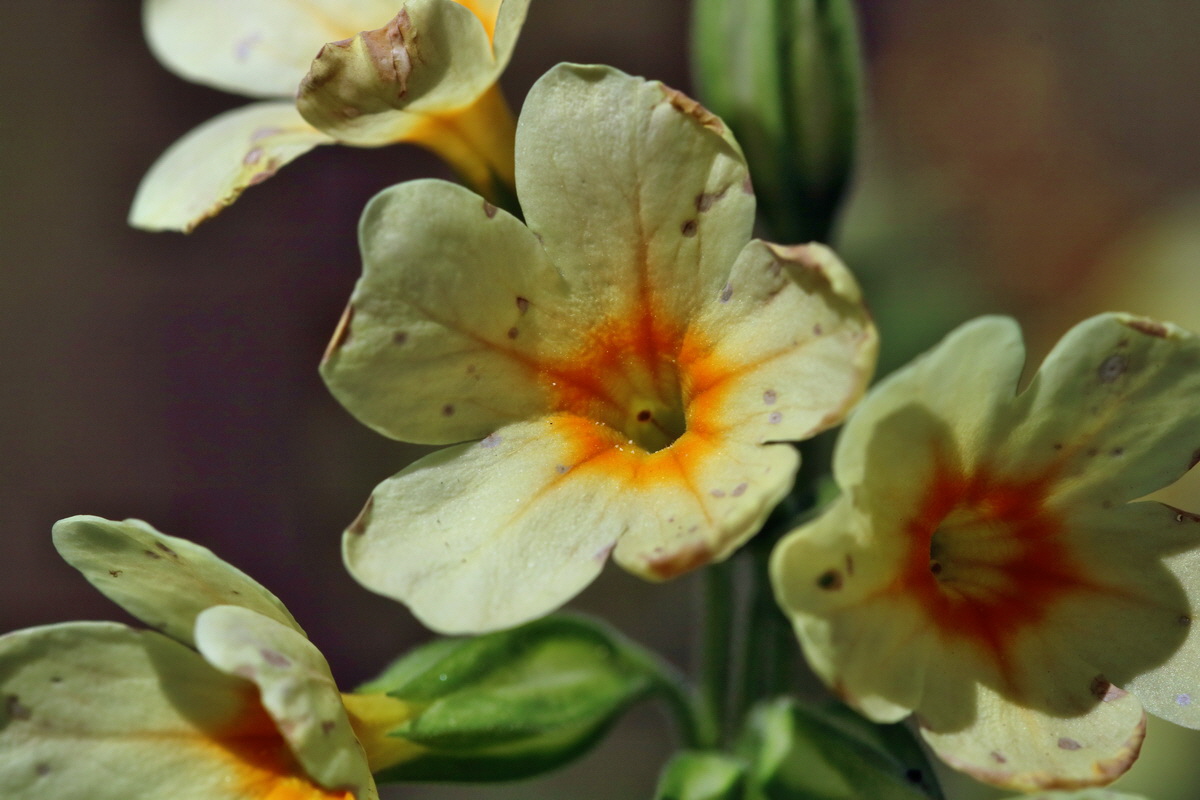 RNA_2017_04_24_0195p_Bildgr��e �ndern