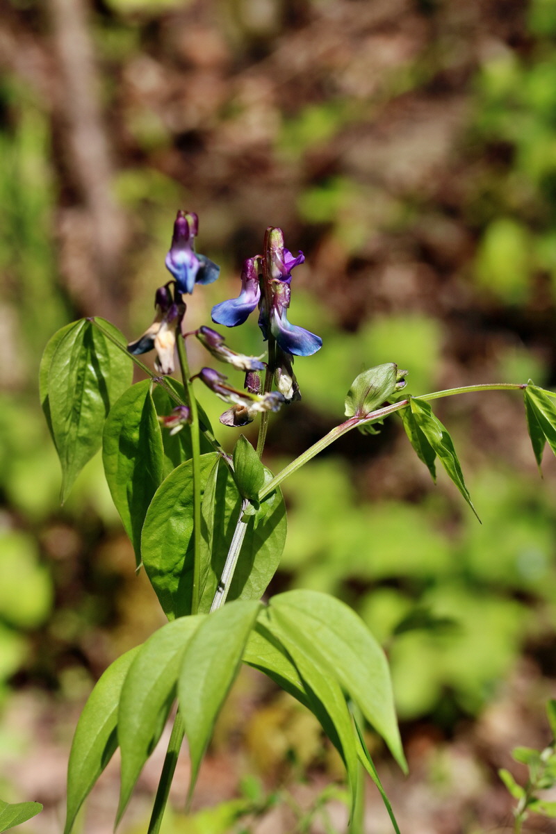 RNA_2017_04_24_0199p_Bildgr��e �ndern