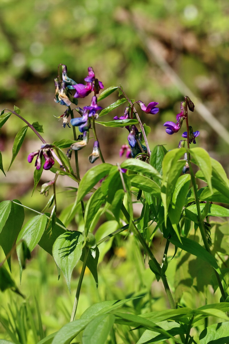 RNA_2017_04_24_0201p_Bildgr��e �ndern