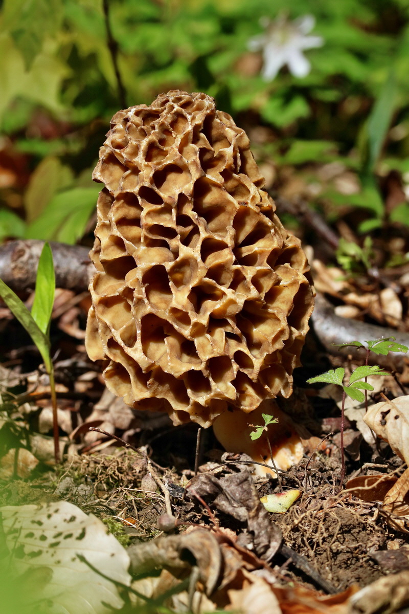 RNA_2017_04_24_0219p_Bildgr��e �ndern