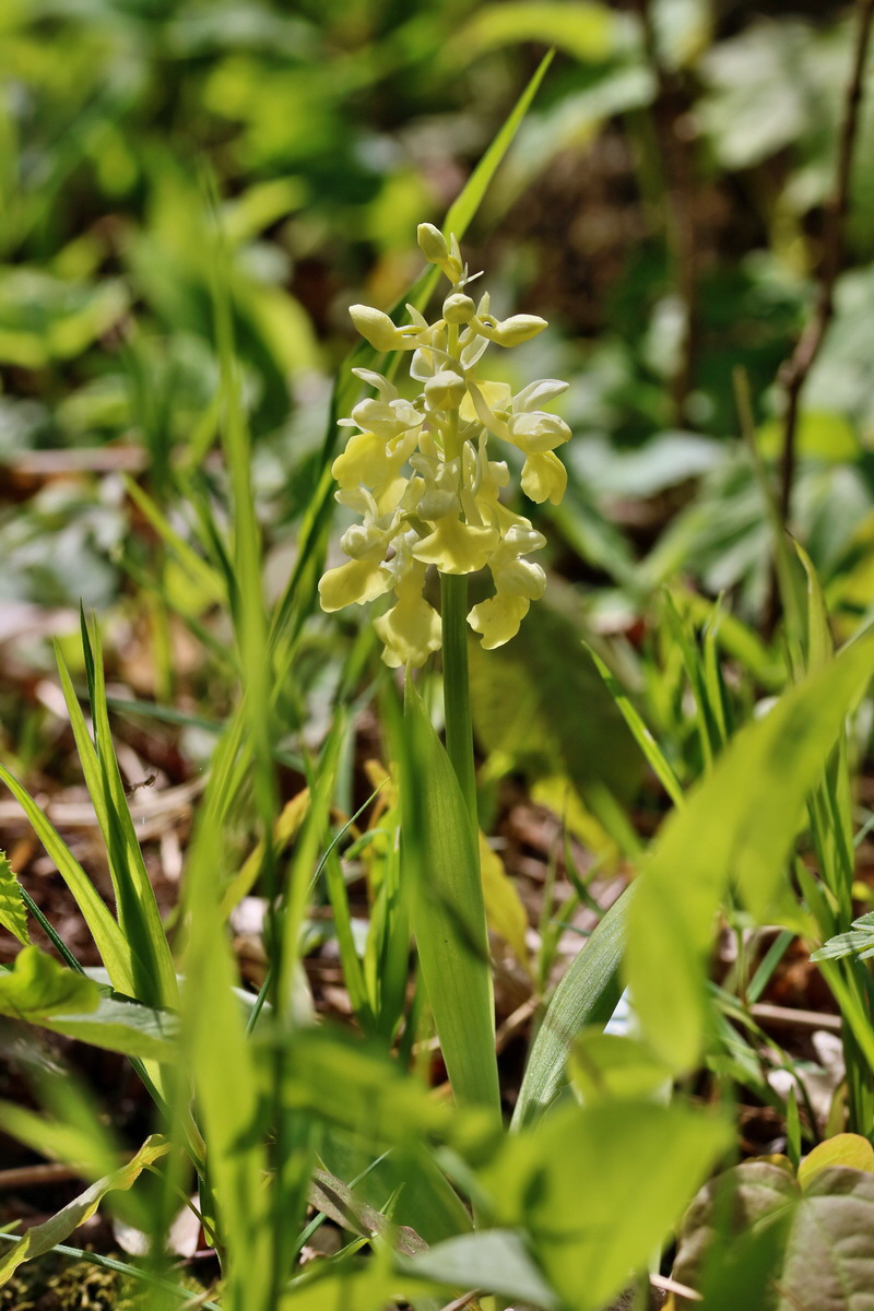 RNA_2017_04_24_0222p_Bildgr��e �ndern